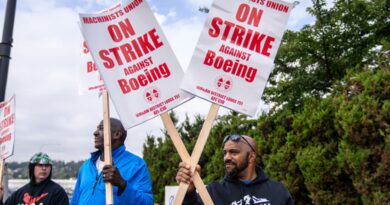 Boeing manufacturing unit strike crosses 1-month mark as strain mounts on CEO