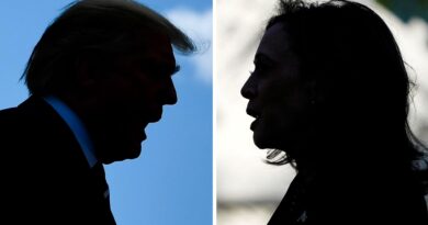 Kalshi provides Trump, Harris election betting choices