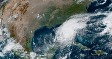 Hurricane Milton makes landfall in Florida